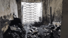 <b>正在枯草季候上山玩耍焚烧取乐；上海市徐汇区</b>